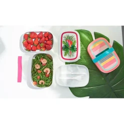 Sale Gifi Bento lunch box plastique bayadère