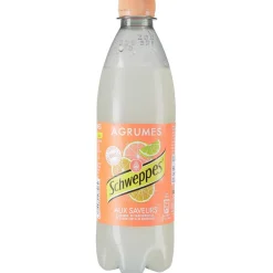 Hot Gifi Boisson Schweppes Agrumes 50 cl