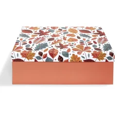 Gifi Boîte à cadeau rectangulaire 32x24xH11,2cm - 2 modèles^ Loisirs Créatifs Et Emballage Cadeau