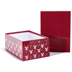 Gifi Boîte de Noël motif renne flocon canne à sucre rouge et blanc x2^ Loisirs Créatifs Et Emballage Cadeau