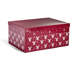 Gifi Boîte de Noël motif renne flocon canne à sucre rouge et blanc x2^ Loisirs Créatifs Et Emballage Cadeau