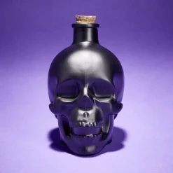 New Gifi Bouteille poison décoration Halloween crâne en verre noir 10x8,5xH14cm