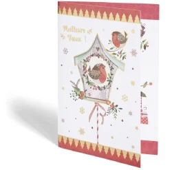 Gifi Carte de voeux Noël 12x17cm^ Loisirs Créatifs Et Emballage Cadeau