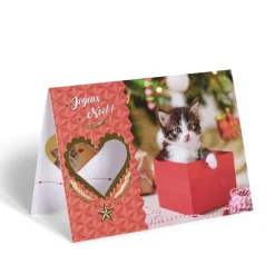 Gifi Carte de voeux Noël 12x17cm^ Loisirs Créatifs Et Emballage Cadeau