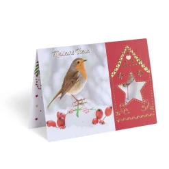 Gifi Carte de voeux Noël 12x17cm^ Loisirs Créatifs Et Emballage Cadeau