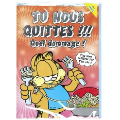 Gifi Carte géante Garfield^ Loisirs Créatifs Et Emballage Cadeau