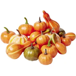 Gifi Citrouille pomme pin gland décoratif Halloween x42^ Décoration Intérieure De Noël