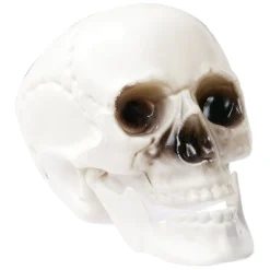 Discount Gifi Crâne déco Halloween blanc x6