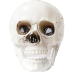 Discount Gifi Crâne déco Halloween blanc x6