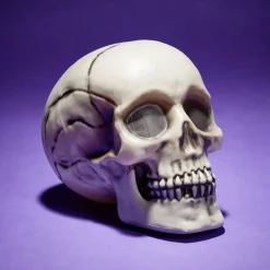 Online Gifi Crâne décoration Halloween 19x15xH16cm