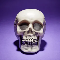 Online Gifi Crâne décoration Halloween 19x15xH16cm