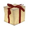 Gifi Décoration cadeau lumineux 8 LED blanc chaud H23 cm^ Décoration Intérieure De Noël