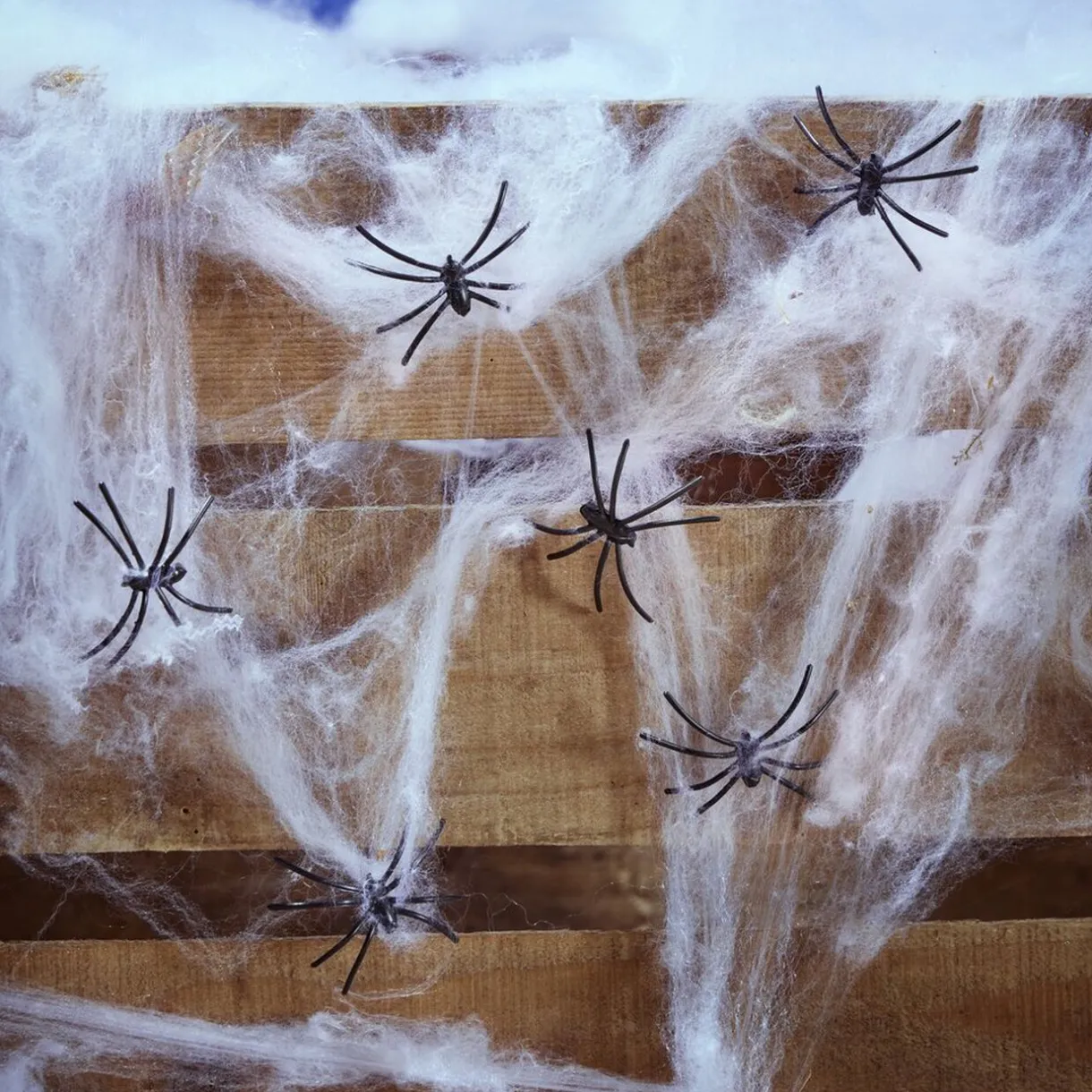 Clearance Gifi Décoration Halloween toile blanche avec 6 araignées