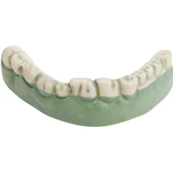 Best Gifi Dentier zombie vert et blanc
