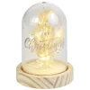 Gifi Dôme fleurs séchées sous cloche Merry Christmas à LED Ø9xH13cm^ Décoration Intérieure De Noël