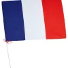 Gifi Drapeau France avec hampe en plastique