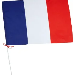 Gifi Drapeau France avec hampe en plastique