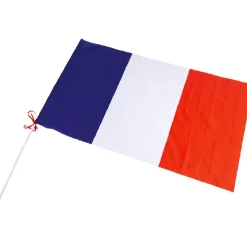 Gifi Drapeau France avec hampe en plastique