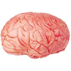Hot Gifi Faux cerveau sanglant en plastique