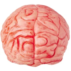 Hot Gifi Faux cerveau sanglant en plastique