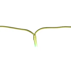 Gifi Guirlande électrique 50 led vert fixe L. 4,9 m^ Décoration Extérieure De Noël