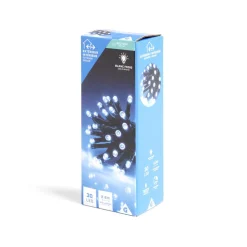 Gifi Guirlande lumineuse extérieur 30LED blanc froid 2,2m^ Décoration Extérieure De Noël