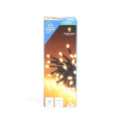 Gifi Guirlande lumineuse extérieur 30LED blanc chaud 2,2m^ Décoration Extérieure De Noël