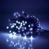 Gifi Guirlande lumineuse extérieur 48LED à piles bleu et blanc froid 3,5m^ Décoration Extérieure De Noël