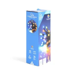 Gifi Guirlande lumineuse extérieur 30LED multicolores 2,2m^ Décoration Extérieure De Noël