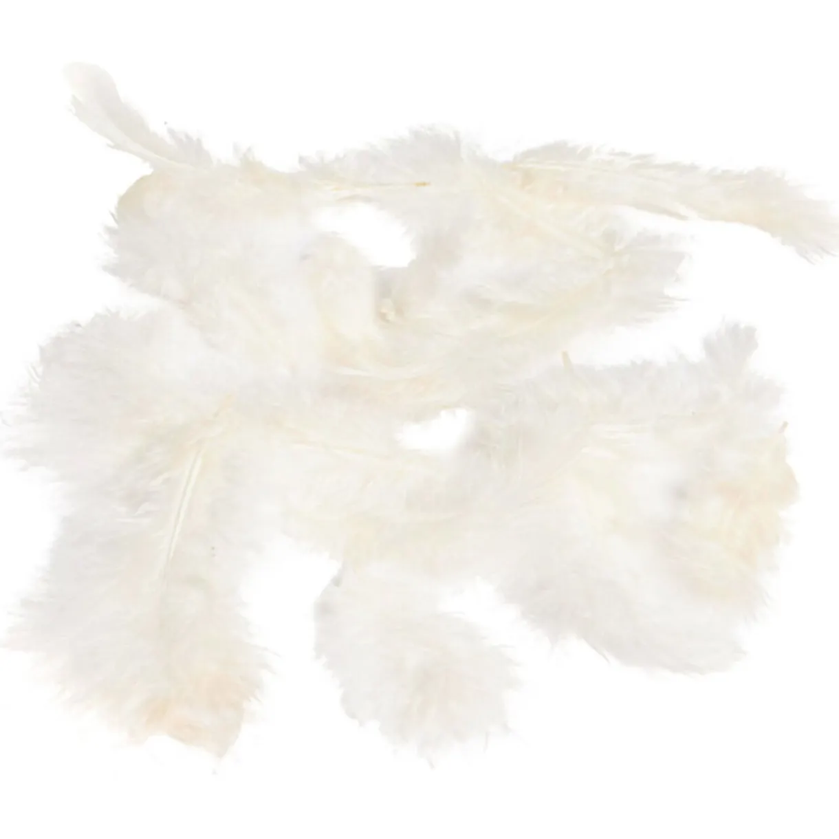 Best Gifi Mini plume ivoire x35