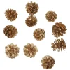 Gifi Pomme de pin dorée X12^ Décoration Sapin