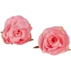 Gifi Rose à clipser x2 - Ø5x9,5cm^ Décoration Sapin