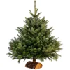 Best Gifi Sapin de Noël naturel Nordmann 100 cm