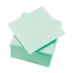 Outlet Gifi Serviette cocktail 2 plis en papier vert pastel x40
