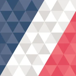 Best Gifi Serviette en papier tricolore supporter France x20