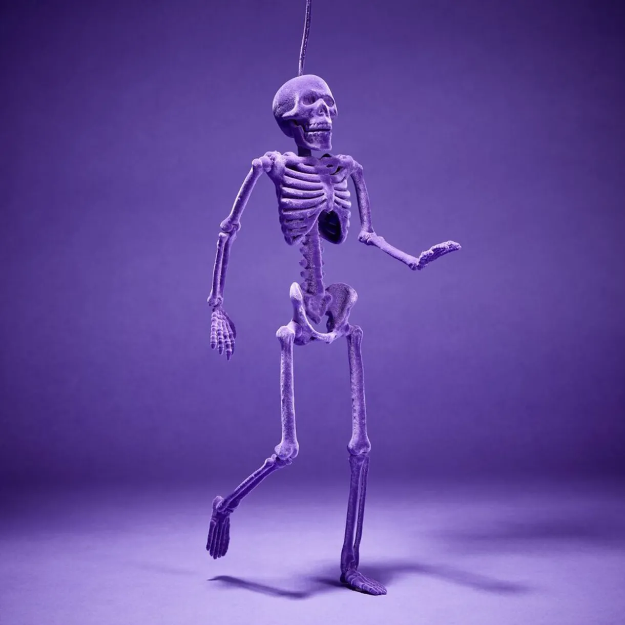 New Gifi Squelette à suspendre Halloween H40cm