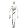Sale Gifi Squelette 3D géant à suspendre blanc Halloween