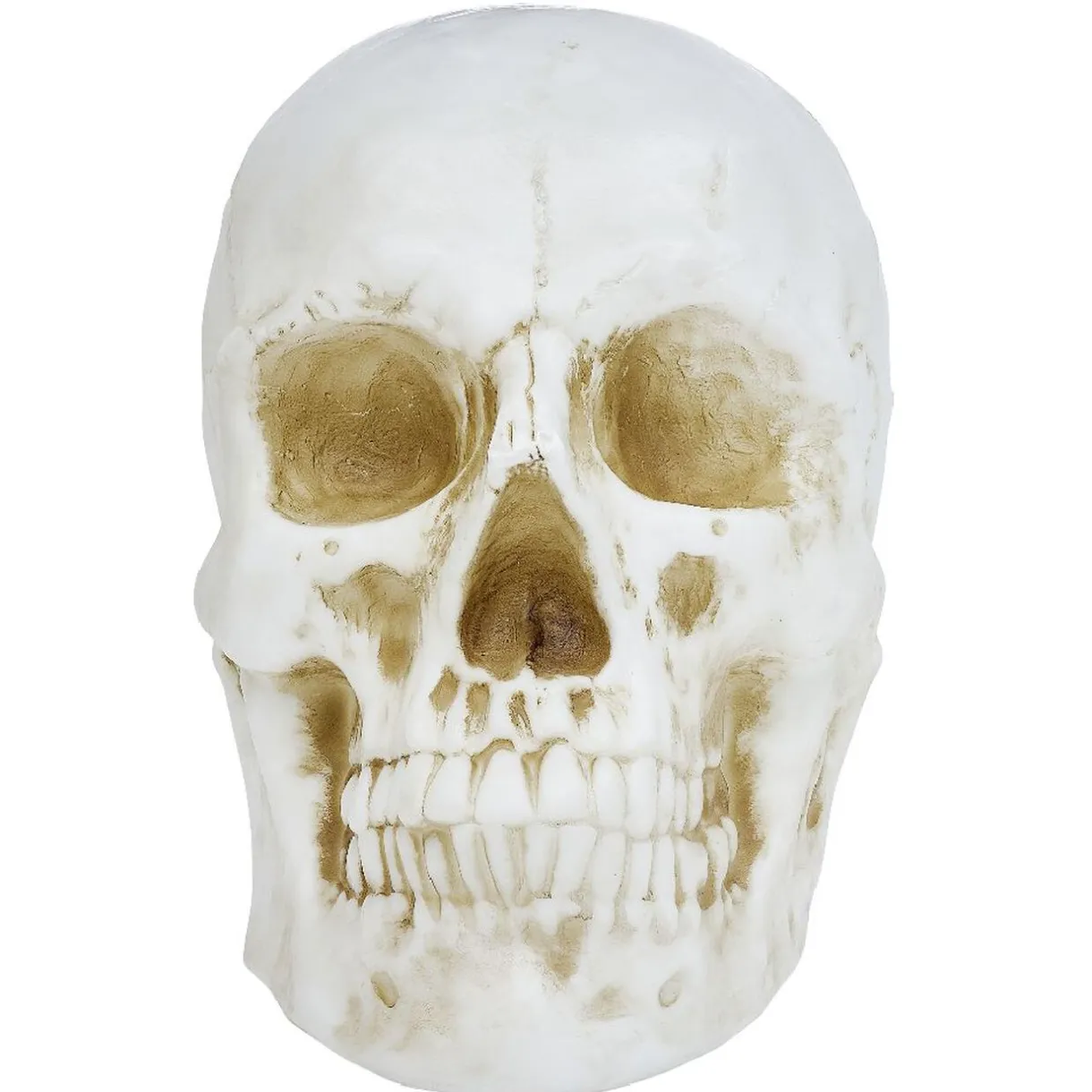 Best Gifi Tête de mort Halloween crâne lumineux 31x52xH42cm